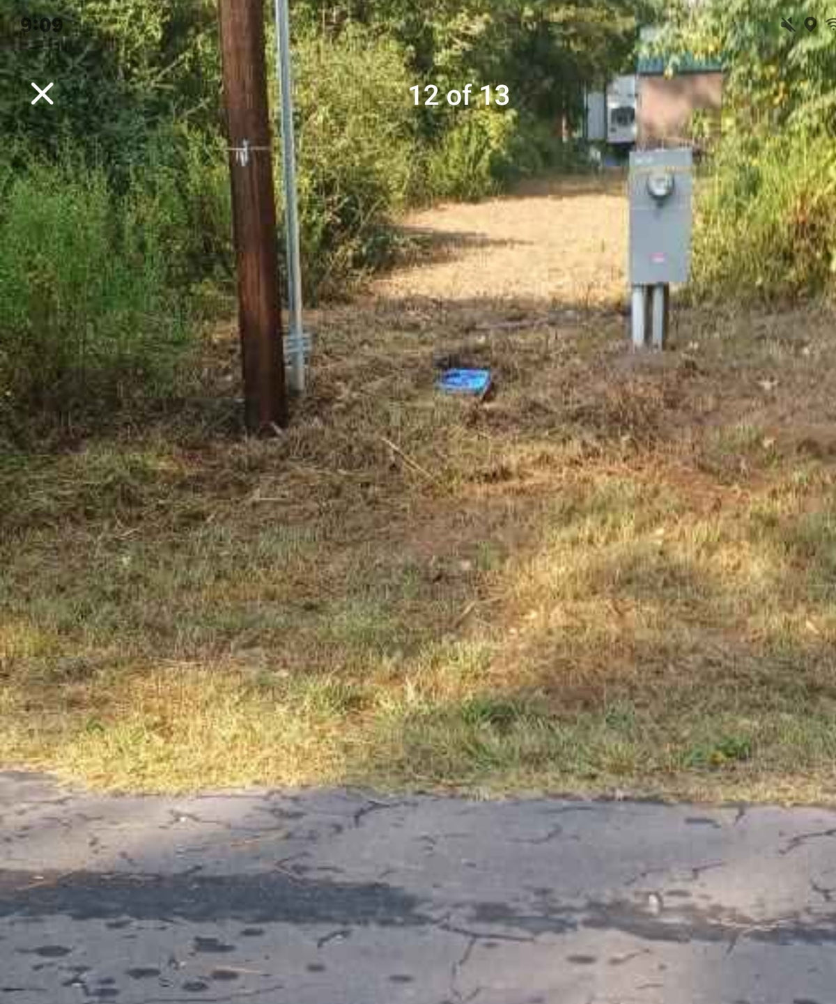 An outdoor scene showing a dirt path or driveway bordered by grass, bushes, and trees, with utility boxes and a wooden pole visible. The photo appears to be a screenshot with app icons along the bottom and a page number at the top.